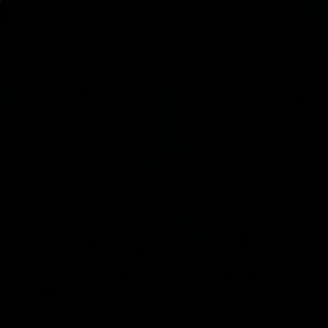 Meet your Posher, Turner